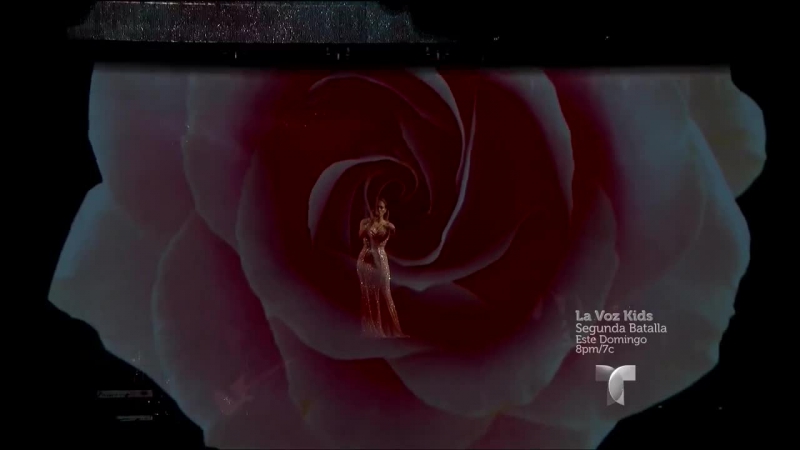 Jennifer Lopez Selena Tribute ( Billboard Latin Music