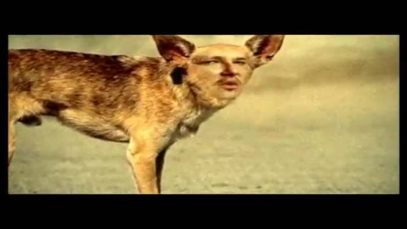 Ko Rn Word Up Official Music Video
