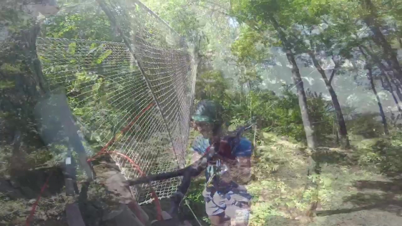 Jungle Xtrem Adventure