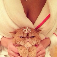 Ирина Васильева