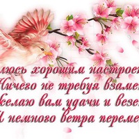 Галина Кузьмина