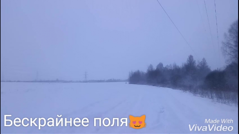 15 января, 2017, Вороно пегий жеребец арабской