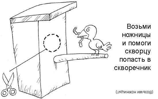 №66, Наталья Селиванова, Нижний Новгород №66, Наталья Селиванова, Нижний Новгород