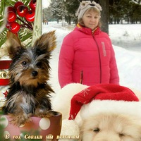 Елена Борисова