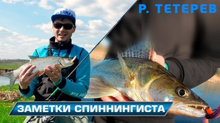 Весенняя спиннинговая рыбалка на реке Тетерев! Заметки спиннингиста!