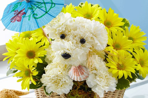 Ольга Ноздрачёва, Россия, Магнитогорск