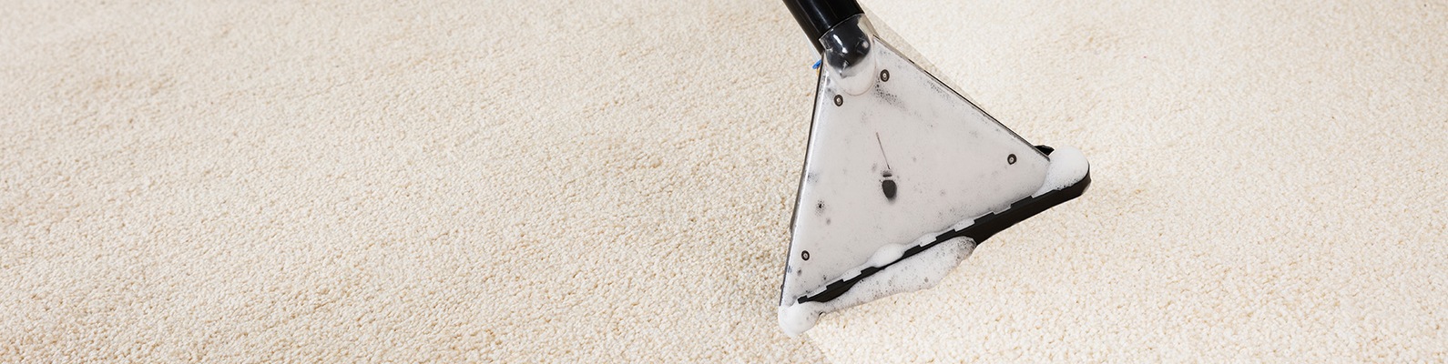 Прокат моющего пылесоса в Витебск | Моющий пылесос легко удалит все ...