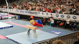 2019 World Cup Gymmastics Melbourne PH EF CHN Weng Hao