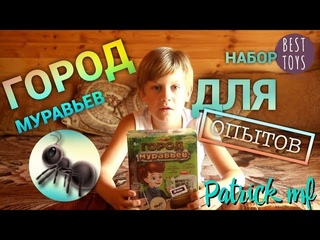 Обзор на опыты - Город муравьев.