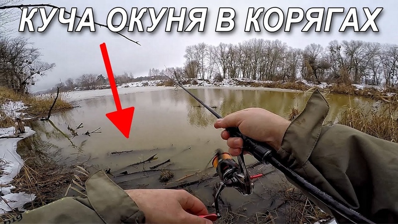 НАШЕЛ КОРЧИ И НАЛОВИЛ Ловля окуня зимой на спиннинг в