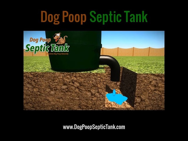 Dog Poop Septic