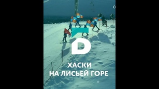 Эстафета “Лисьи забавы“ прошла в Балашихе