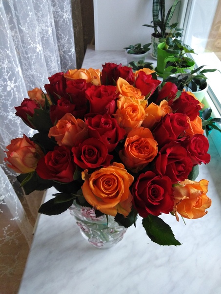 Ирина Токмакова, Россия, Липецк