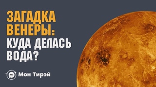 Загадка Венеры, замена антибиотикам и «брат-близнец» Солнца | новости науки 18+