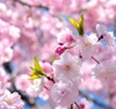 https://sun9-36.userapi.com/c855124/v855124626/e4229/8i79iNcTp0k.jpg