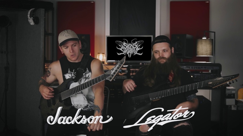 Undying Fidelity Signs of the Swarm ( Official Guitar
