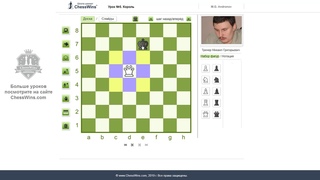 Шахматы с чемпионом. Король в шахматах