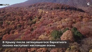 Какие красоты открыла в Крыму осень - видео