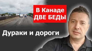 В Канаде ДВЕ БЕДЫ. Дураки и дороги / Блогер и Хаски / Блогер БН / США