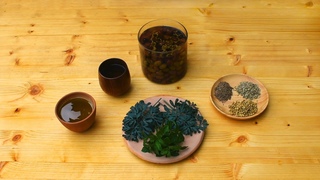 Ancient Roman Cured Olives - Epityrum