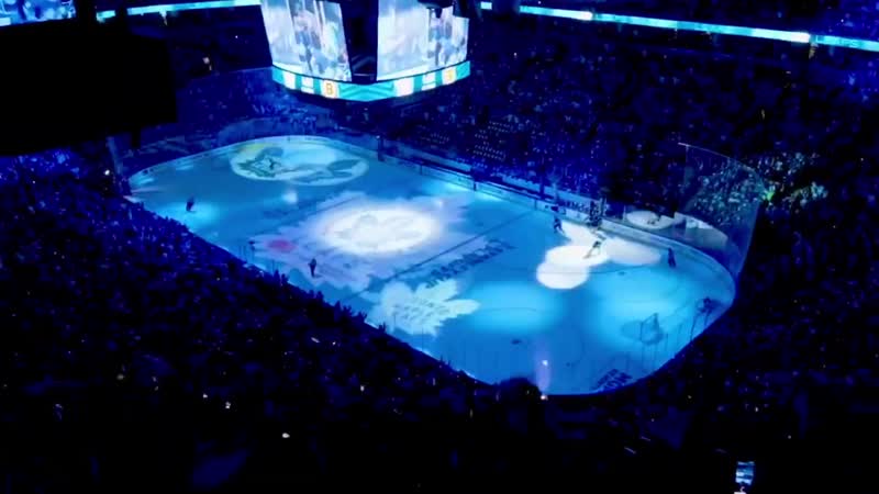 Toronto Maple Leafs 2019 2020 Hype,