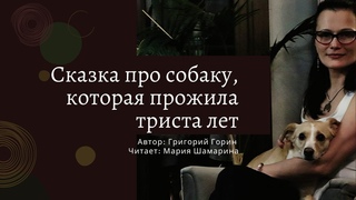 Сказка про собаку, которая прожила триста лет