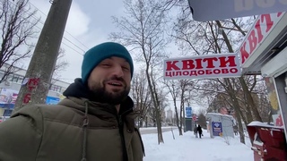 Сколько стоит букет тюльпанов на 14 февраля Как выбрать свежие цветы, которые будут долго стоять