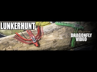 Trying Out The LUNKERHUNT DRAGONFLY!! Topwater Bass Fishing!