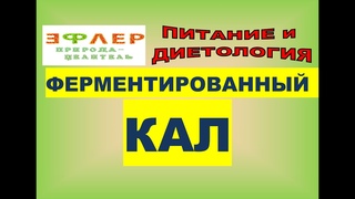 ФЕРМЕНТИРОВАННЫЕ ПРОДУКТЫ. КВАШЕННАЯ КАПУСТА, СОК. ГОРЯЧАЯ ФЕРМЕНТАЦИЯ. МОЧА И КАЛ БАКТЕРИЙ И ГРИБОВ