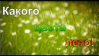 какого цвета лето