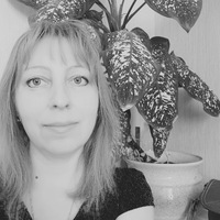 Елена Курбатова