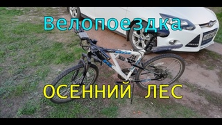 На велосипеде от первого лица от  / MTB / bike ride - Велопоездка #11