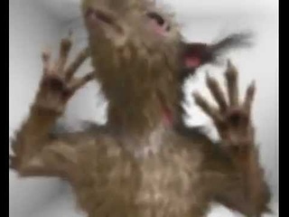 Бухаете Белка идет к вам!.mp4