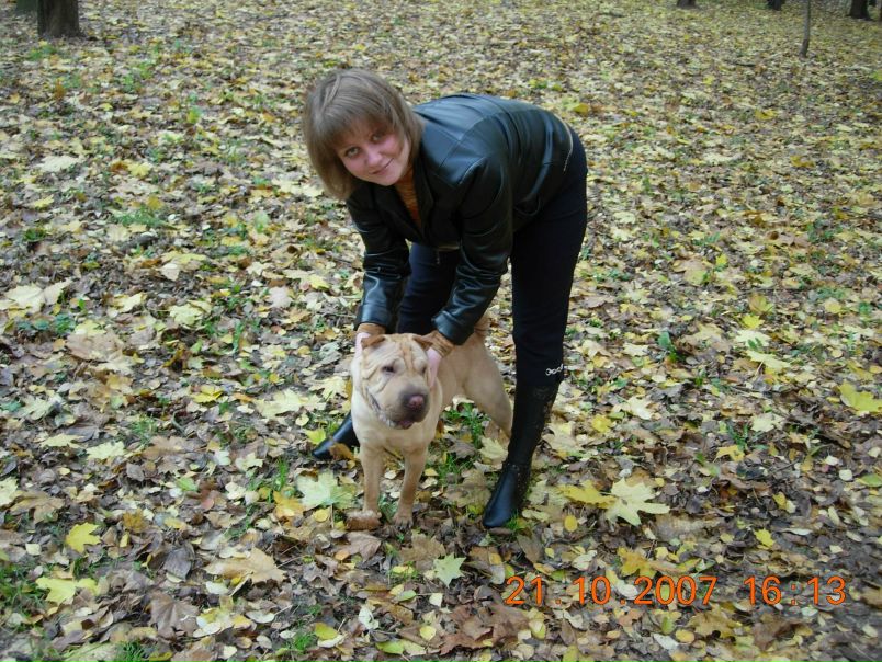 №147, Анастейшен Гаврилина, Каменск-Шахтинский №147, Анастейшен Гаврилина, Каменск-Шахтинский