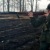 Роман Василевский