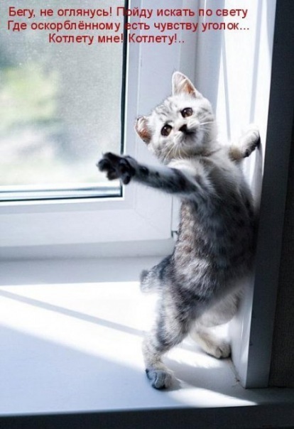 №115, Татьяна Жуковская, Киев №115, Татьяна Жуковская, Киев