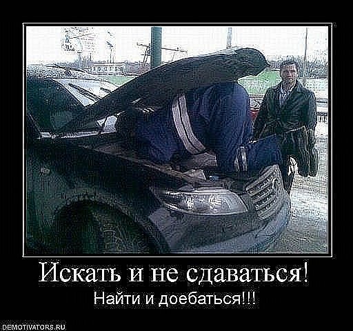 №91, Павел Пресняков, 36 лет, Орёл №91, Павел Пресняков, 36 лет, Орёл