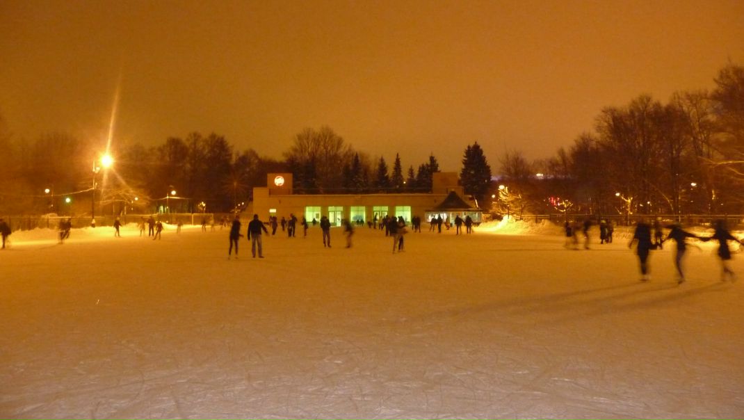 №8, Алексей Тархов №8, Алексей Тархов