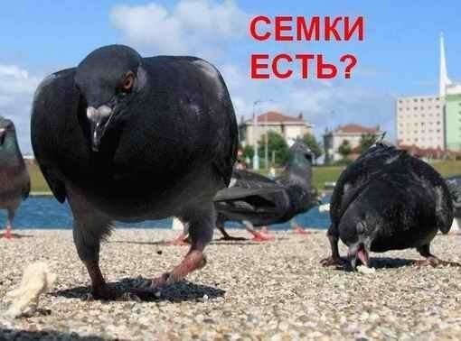 №128, Dimon Derevyanchuk, 32 года, Переяслав-Хмельницкий №128, Dimon Derevyanchuk, 32 года, Переяслав-Хмельницкий