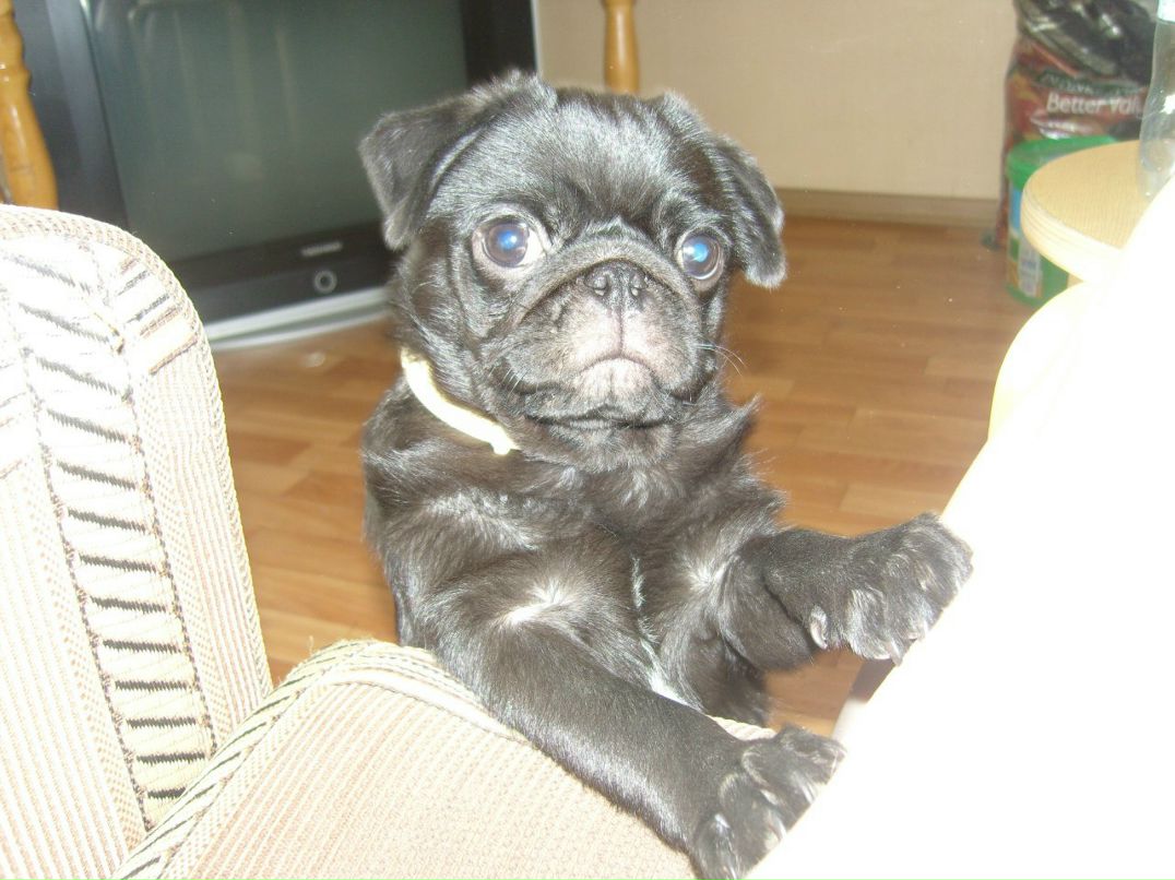 Мария Образцова | Тольятти