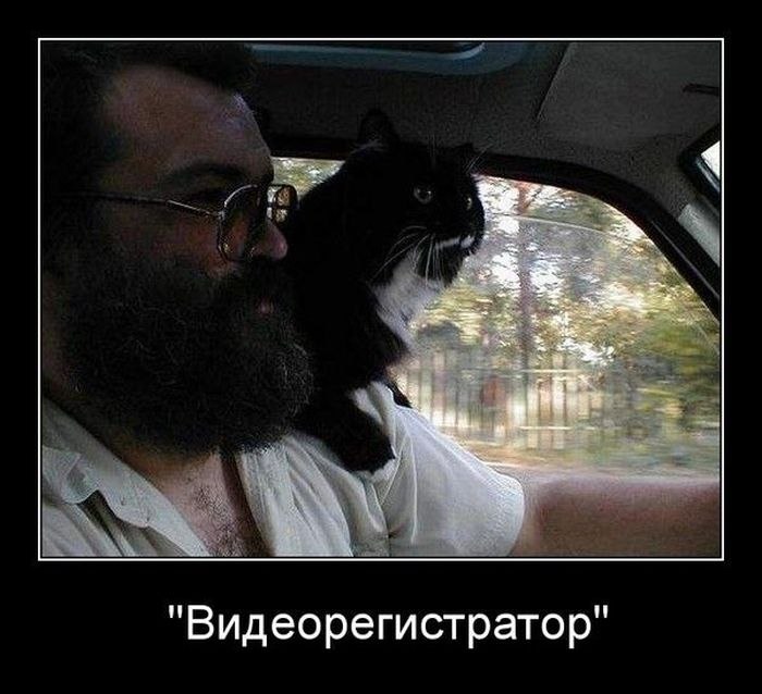 Вася Зайцев | 