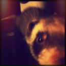 №4, Ленярка Pimpilim, 25.6.1990, 35 лет, Санкт-Петербург, Россия