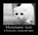 Татьяна Штокало фотография #41 (источник - https://vk.com/id25942724)