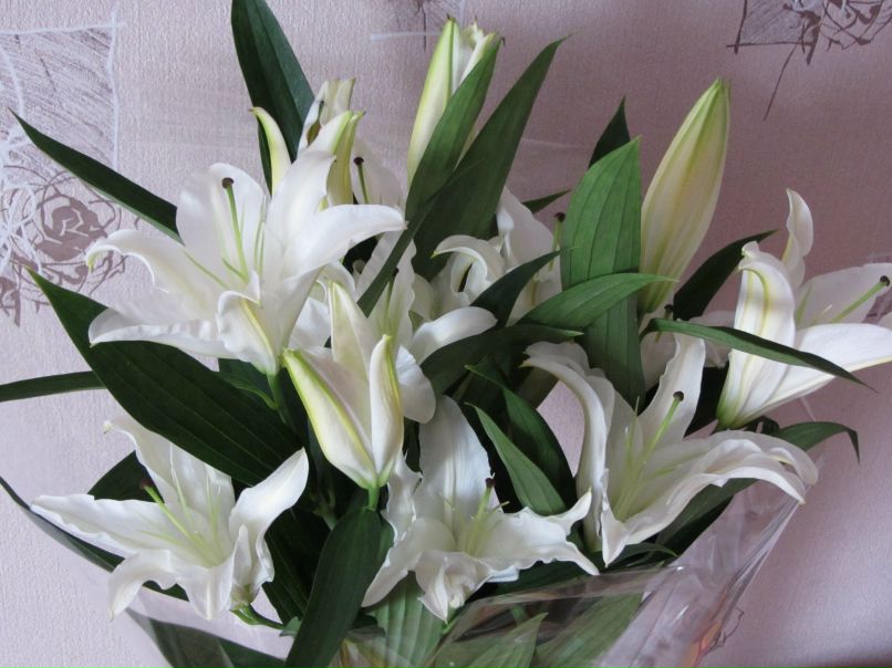 Юлия Маямсина | Екатеринбург