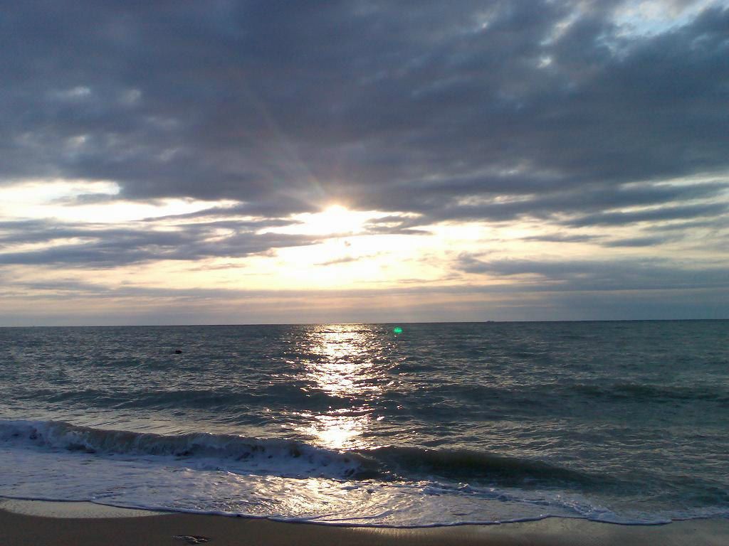 Александр Вежновец | 