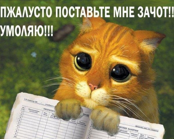 №92, Людмила Скворцова №92, Людмила Скворцова