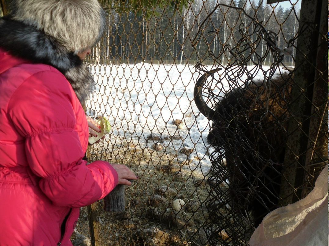 Юрий Соколов | Санкт-Петербург
