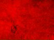 Валерка Литвиненко ﴾͡๏̯͡๏﴿ | Богодухов