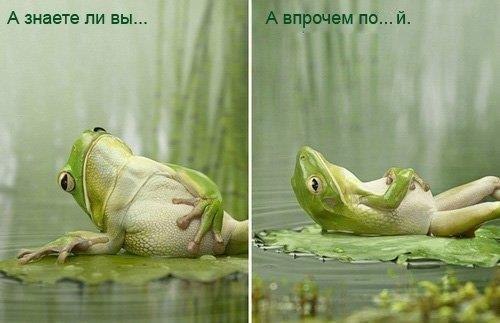 Оксана Штольц | Химки