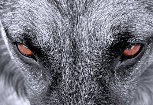 Алина Кавина | Antalya